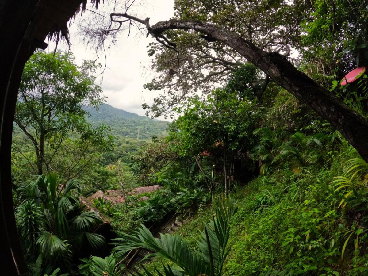Ecohostal Rio Piedra El Zaino Bagian luar foto