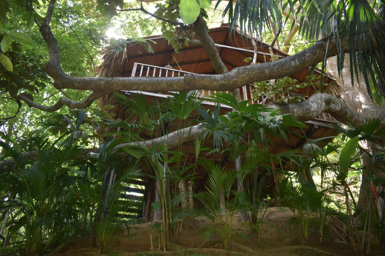 Ecohostal Rio Piedra El Zaino Bagian luar foto