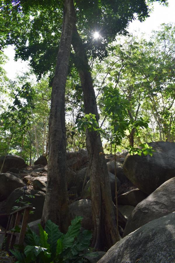Ecohostal Rio Piedra El Zaino Bagian luar foto