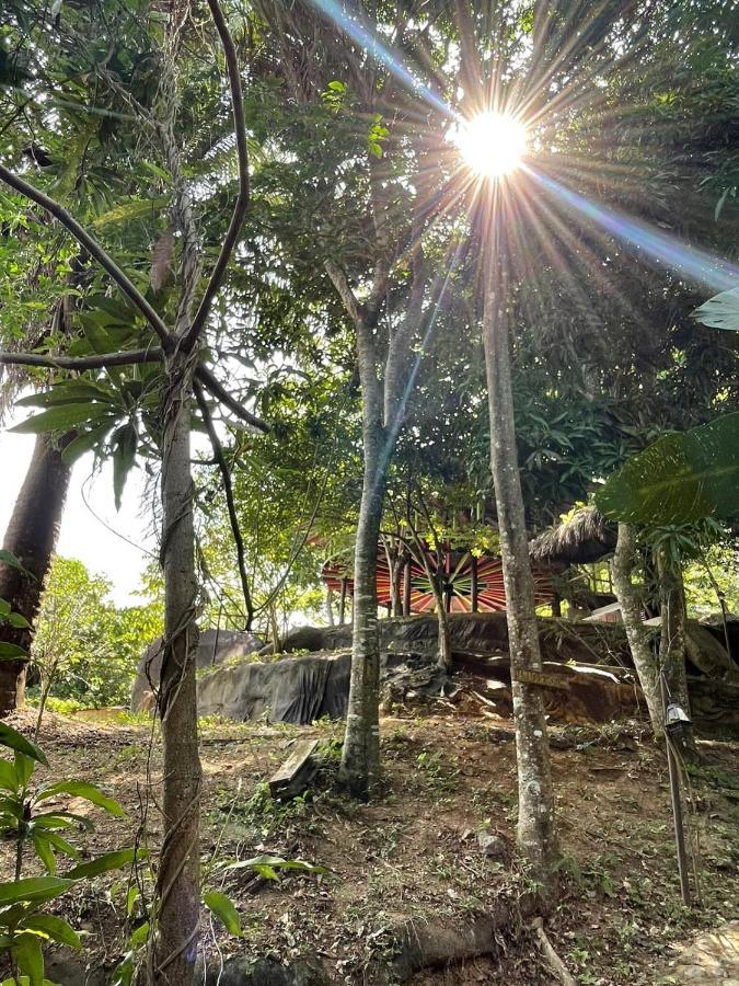 Ecohostal Rio Piedra El Zaino Bagian luar foto